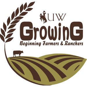 GrowinG Internship Program
