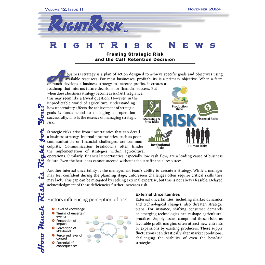 IMAGE: RightRisk News front page